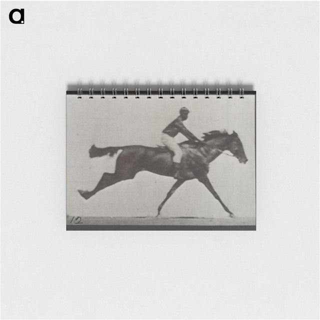 2-70_Eadweard-Muybridge_memo