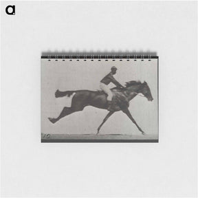 アートメモ帳-Galloping Horse and Rider
 - エドワード マイブリッジ Memo.