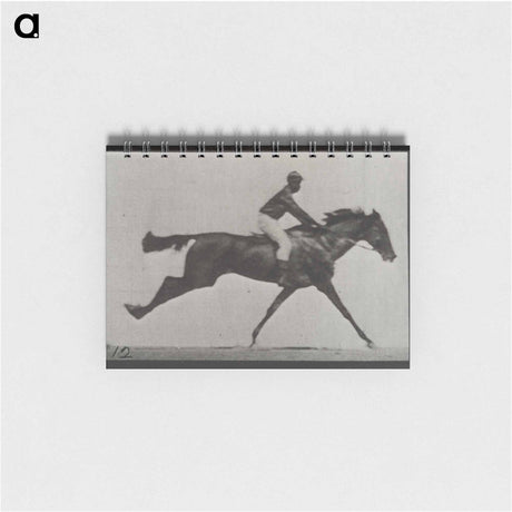 アートメモ帳-Galloping Horse and Rider
 - エドワード マイブリッジ Memo.