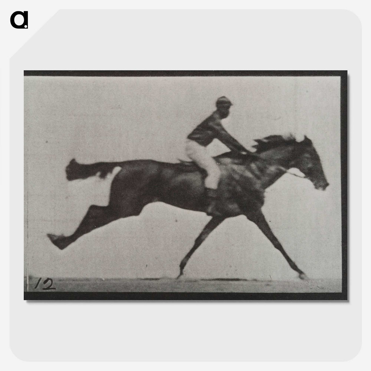 2-70_Eadweard-Muybridge_picture-crop