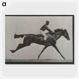 2-70_Eadweard-Muybridge_picture-crop