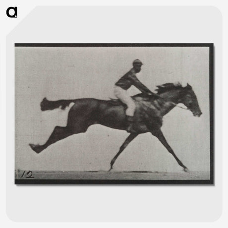 2-70_Eadweard-Muybridge_picture-crop
