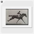2-70_Eadweard-Muybridge_picture