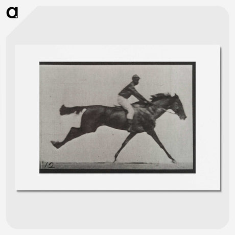 2-70_Eadweard-Muybridge_picture