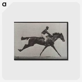 2-70_Eadweard-Muybridge_postcard