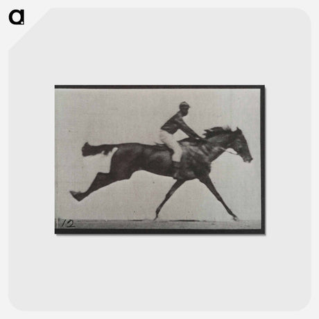 アートポストカード-Galloping Horse and Rider
 - エドワード マイブリッジ Postcard.