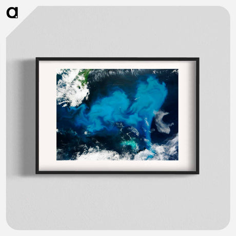 アートポスター-Phytoplankton Bloom off Newfoundland
 - 上空からの地球 Poster.