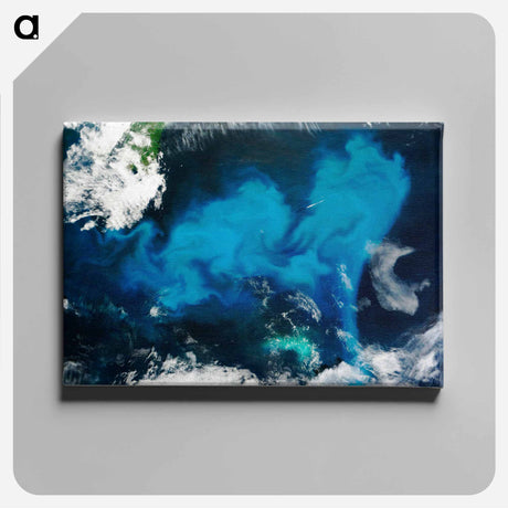 アートパネル-Phytoplankton Bloom off Newfoundland
 - 上空からの地球 Canvas.