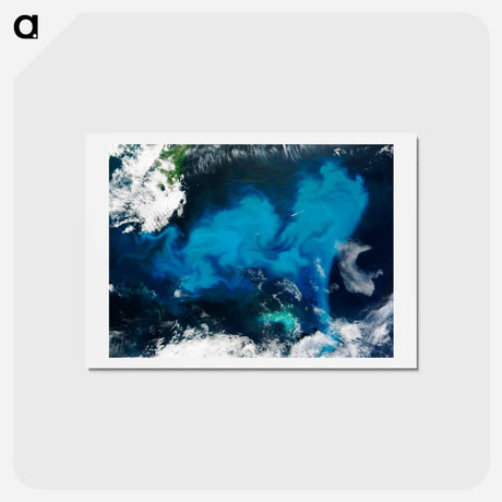 アートポストカード-Phytoplankton Bloom off Newfoundland
 - 上空からの地球 Postcard.