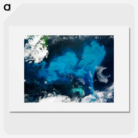 アートポスター-Phytoplankton Bloom off Newfoundland
 - 上空からの地球 Poster.