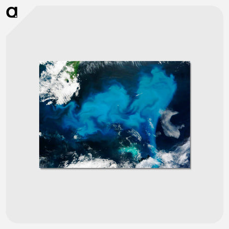 アートポストカード-Phytoplankton Bloom off Newfoundland
 - 上空からの地球 Postcard.