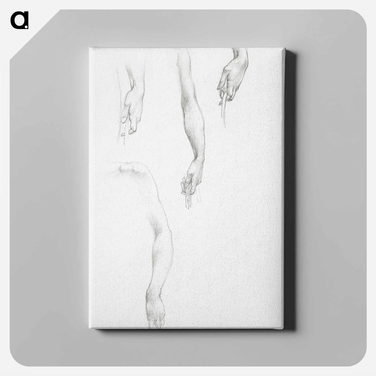 Studies of Arms and Hands - エドワード バーン ジョーンズ Canvas.