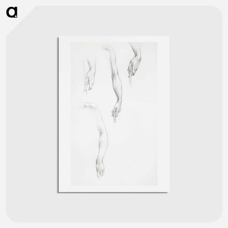 アートポストカード-Studies of Arms and Hands - エドワード バーン ジョーンズ Postcard.