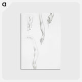 アートポストカード-Studies of Arms and Hands - エドワード バーン ジョーンズ Postcard.