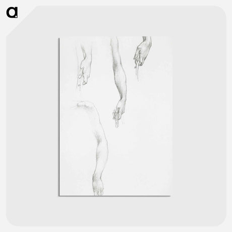 アートポストカード-Studies of Arms and Hands - エドワード バーン ジョーンズ Postcard.