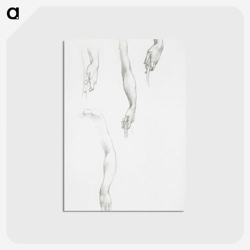 Studies of Arms and Hands - エドワード バーン ジョーンズ Postcard.