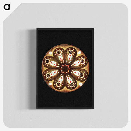 2-70_Ernst-Haeckel_blk-crop