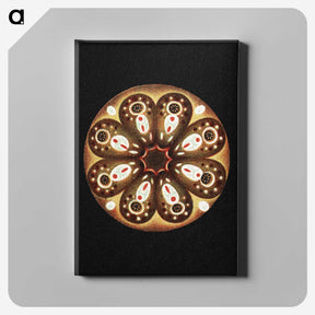 2-70_Ernst-Haeckel_canvas