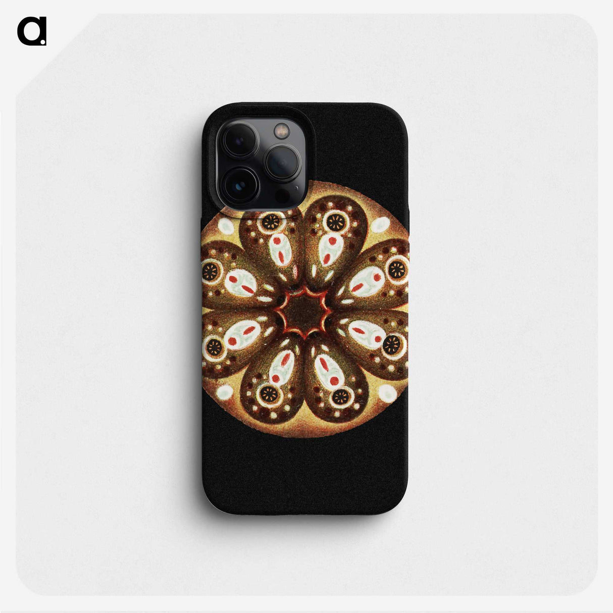 2-70_Ernst-Haeckel_phone