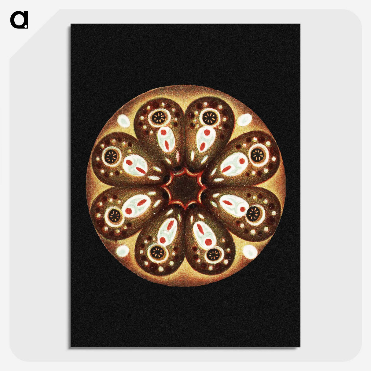 2-70_Ernst-Haeckel_picture-crop