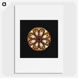 2-70_Ernst-Haeckel_picture