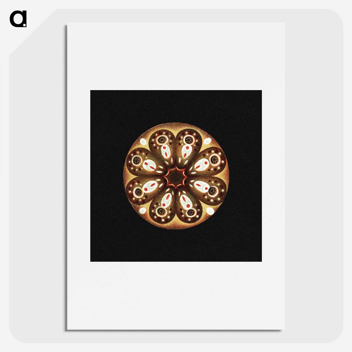2-70_Ernst-Haeckel_picture
