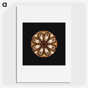 2-70_Ernst-Haeckel_picture