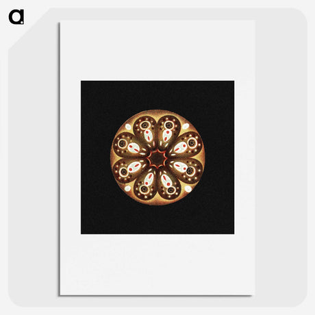 2-70_Ernst-Haeckel_picture