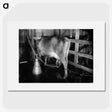 2-70_Frederick-Charles-Brockett_picture