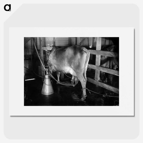 2-70_Frederick-Charles-Brockett_picture