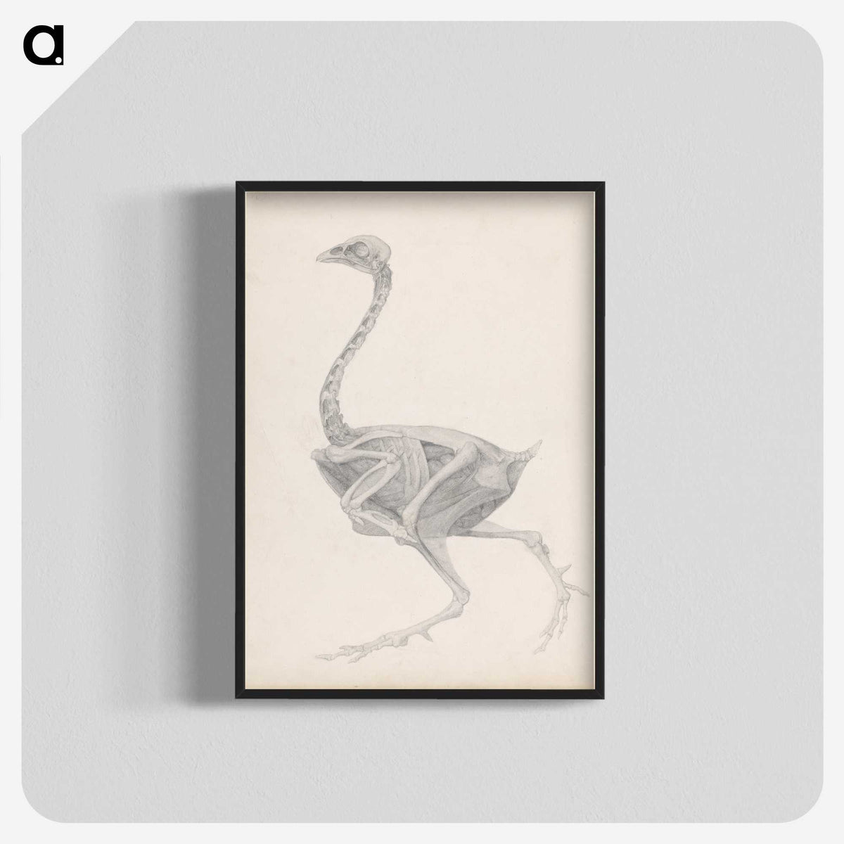 2-70_George-Stubbs_blk-crop