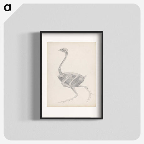 2-70_George-Stubbs_blk