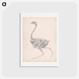 アートポストカード-Fowl Body, Lateral View
 - ジョージ スタッブス Postcard.