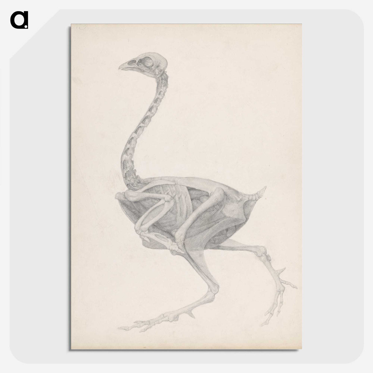 2-70_George-Stubbs_picture-crop