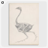 2-70_George-Stubbs_picture-crop
