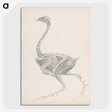 2-70_George-Stubbs_picture-crop