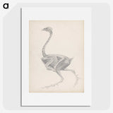 2-70_George-Stubbs_picture