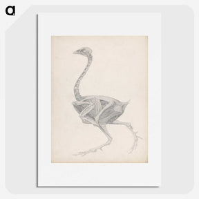 2-70_George-Stubbs_picture