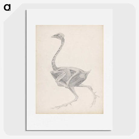 2-70_George-Stubbs_picture