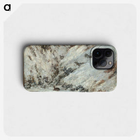 2-70_Gustave-Courbet_phone