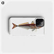 2-70_Ichtyologie-ou-Histoire-naturelle_phone