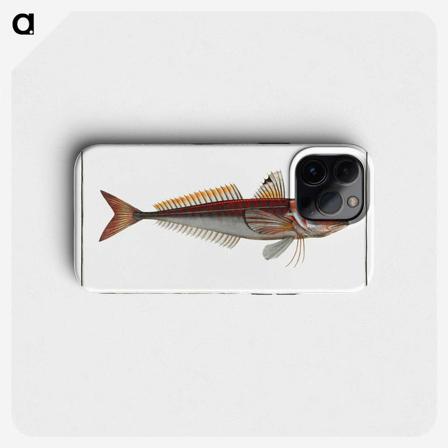 2-70_Ichtyologie-ou-Histoire-naturelle_phone