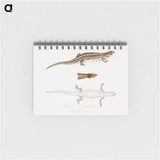 2-70_Indian-Zoology_memo