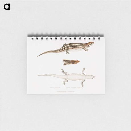 2-70_Indian-Zoology_memo