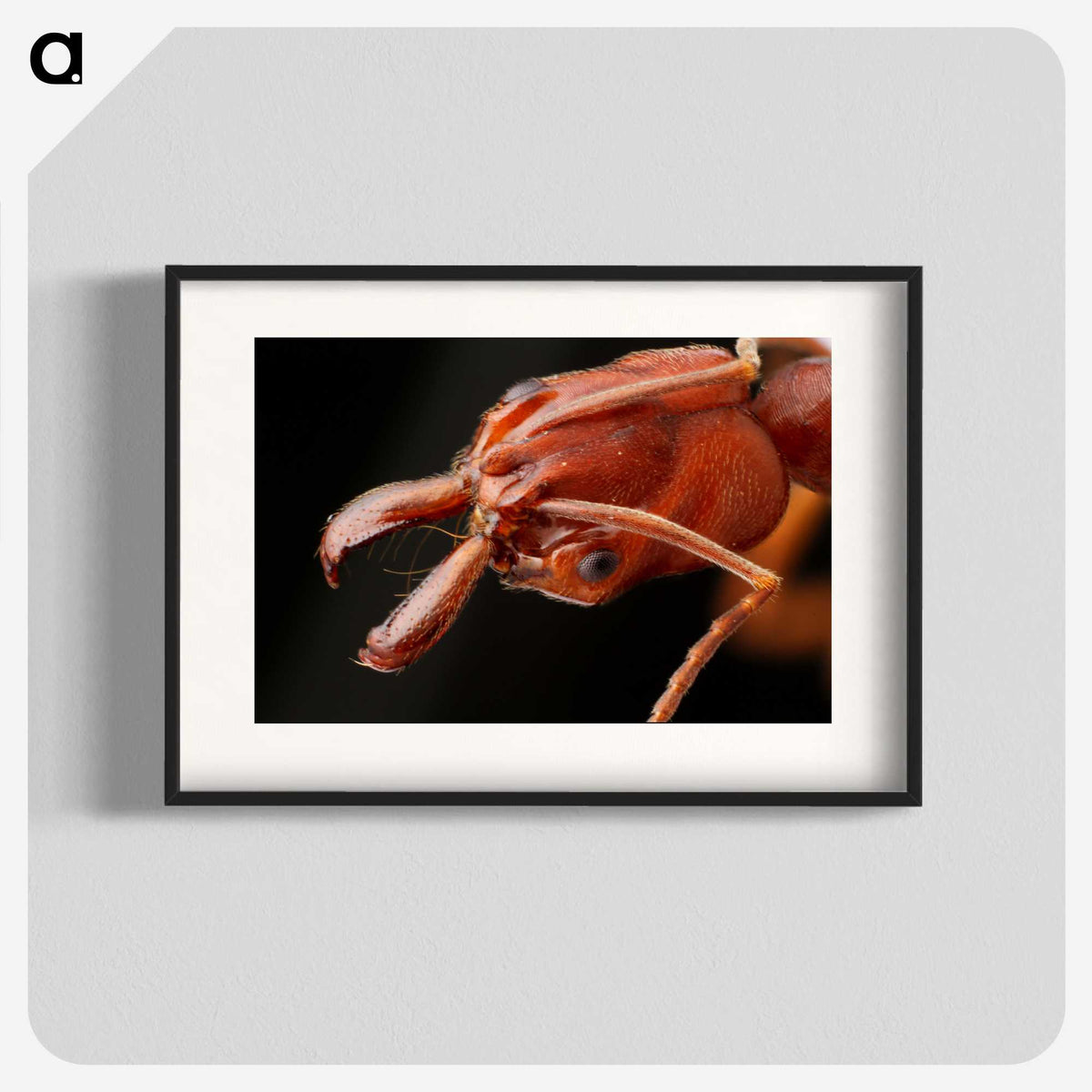 2-70_Insects-Unlocked-Project_blk