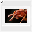 2-70_Insects-Unlocked-Project_picture