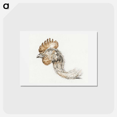 アートポストカード-Head of a dead chicken - ジャン ベルナール Postcard.