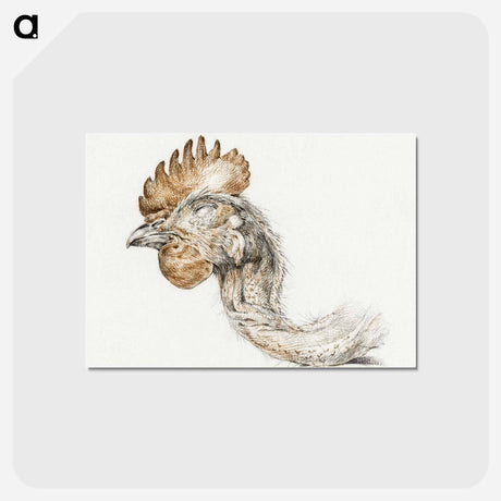 アートポストカード-Head of a dead chicken - ジャン ベルナール Postcard.