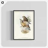 2-70_John-Gould_blk-crop
