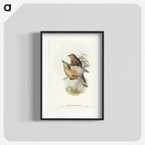 2-70_John-Gould_blk